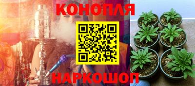 прущая мука Гусев