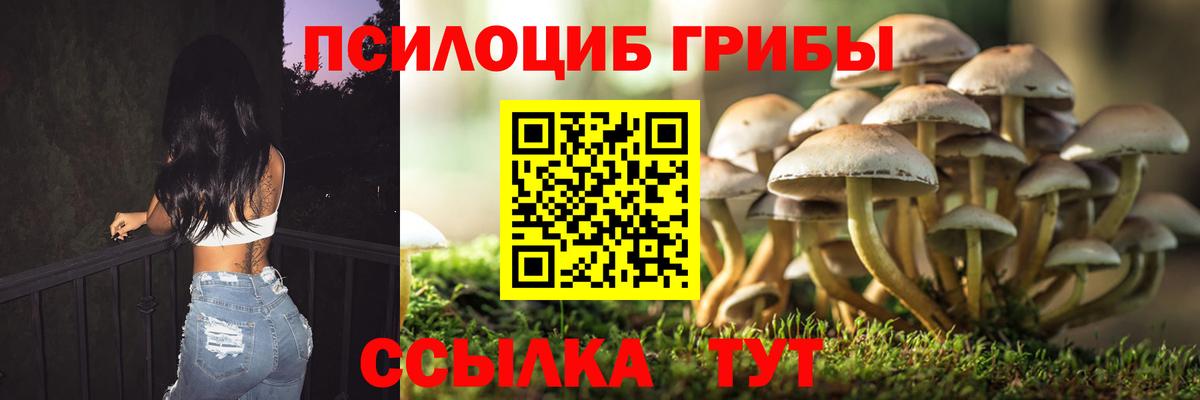 Галлюциногенные грибы Psilocybe  Вход с VPN  Новоалександровск 